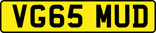 VG65MUD