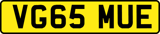 VG65MUE