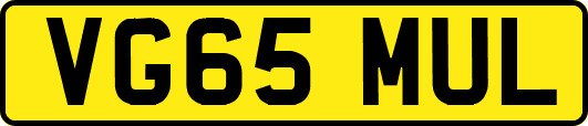 VG65MUL