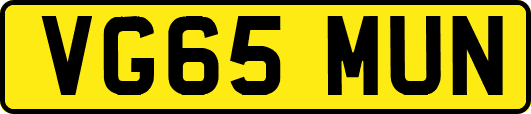 VG65MUN
