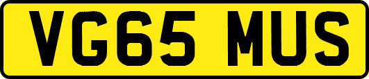 VG65MUS