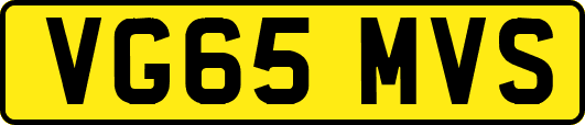 VG65MVS