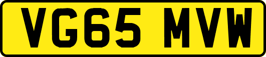 VG65MVW