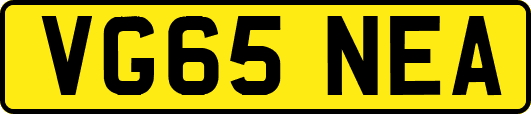 VG65NEA