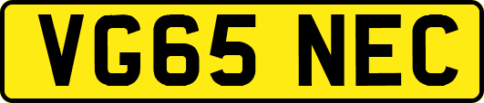 VG65NEC