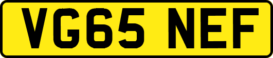 VG65NEF
