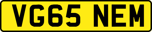 VG65NEM