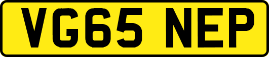 VG65NEP