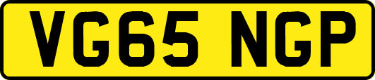 VG65NGP