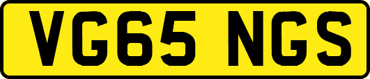 VG65NGS