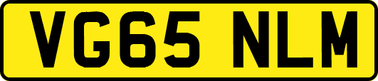 VG65NLM