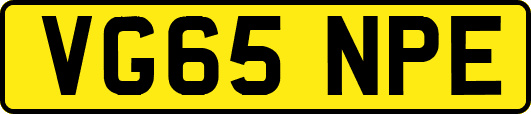 VG65NPE