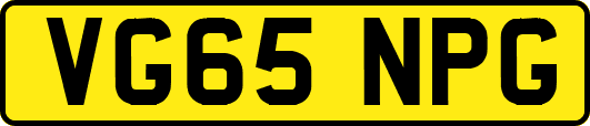 VG65NPG