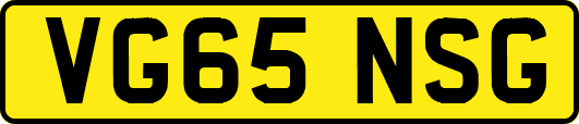 VG65NSG
