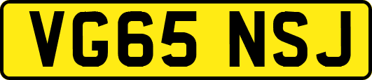 VG65NSJ