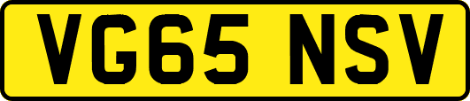 VG65NSV