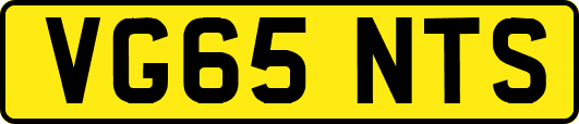 VG65NTS