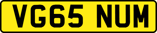 VG65NUM
