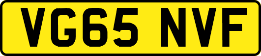 VG65NVF
