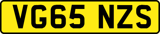 VG65NZS