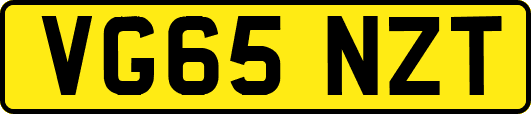 VG65NZT