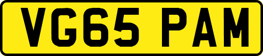VG65PAM