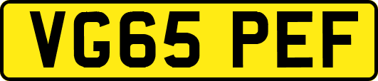 VG65PEF