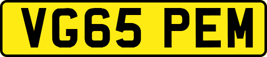 VG65PEM