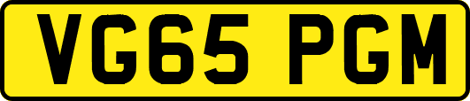 VG65PGM