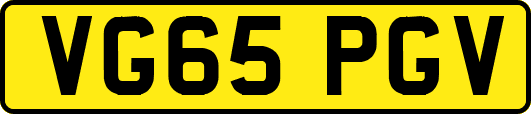 VG65PGV