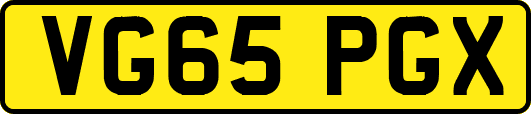 VG65PGX