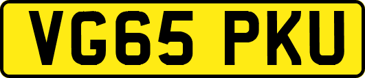 VG65PKU