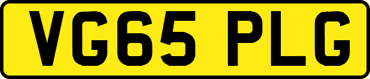 VG65PLG