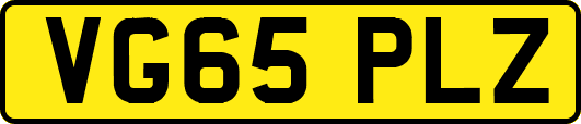 VG65PLZ