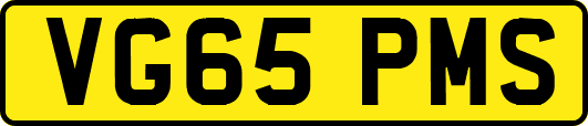 VG65PMS