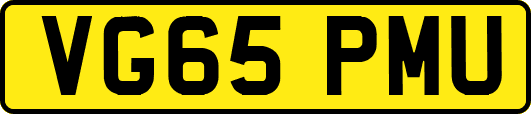 VG65PMU
