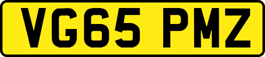 VG65PMZ