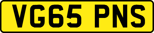 VG65PNS