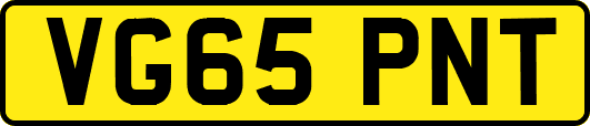VG65PNT