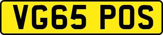 VG65POS