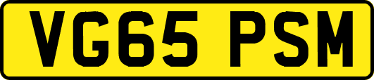 VG65PSM