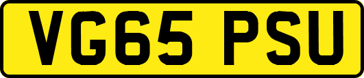 VG65PSU