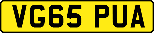 VG65PUA