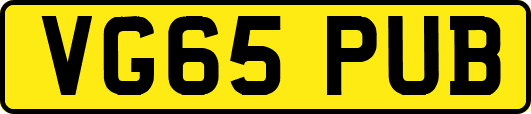 VG65PUB