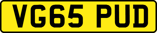 VG65PUD