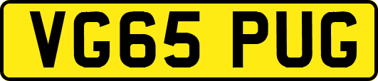 VG65PUG