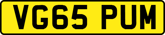 VG65PUM