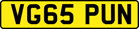 VG65PUN