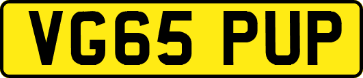 VG65PUP