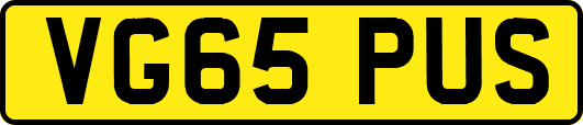 VG65PUS